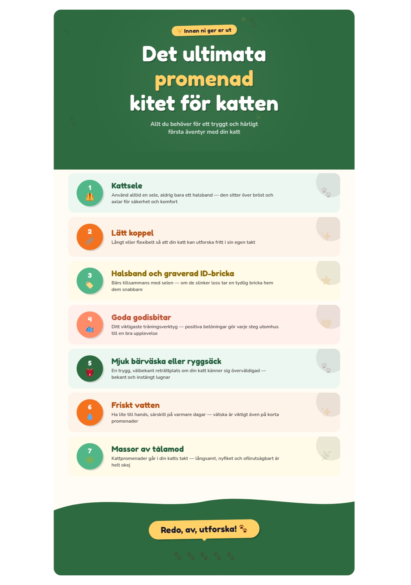 Infografik med checklista för första promenaden med katten: sele, koppel, halsband med bricka, godis, bärväska, vatten och tålamod